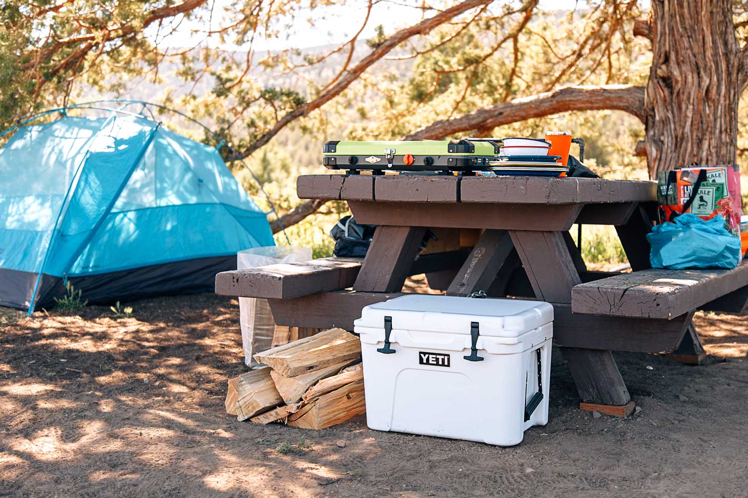 How To Keep Food Cold While Camping: Full Guide | OutdoorBravos