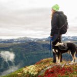Best Hiking Dogs