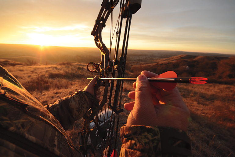 Best Hunting Arrows: A Complete Guide For Hunters