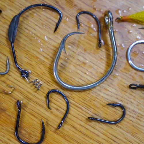 Best Fish Hooks: Which Type You Should Buy
