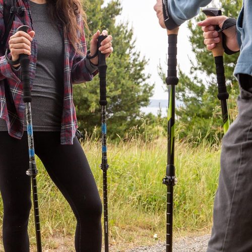 Best Hiking Sticks: Guide to Choosing the Right Trekking Poles