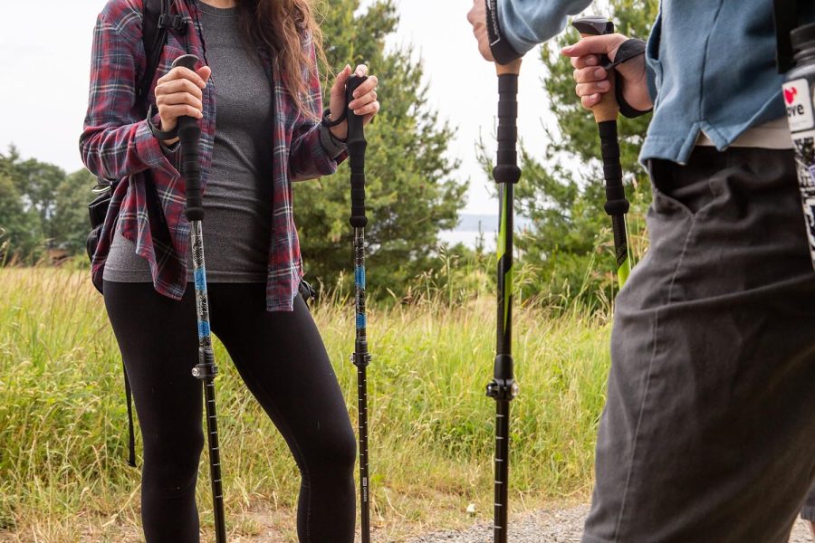 Best Hiking Sticks: Guide to Choosing the Right Trekking Poles