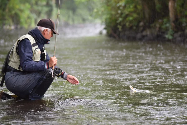 Fishing in Rain