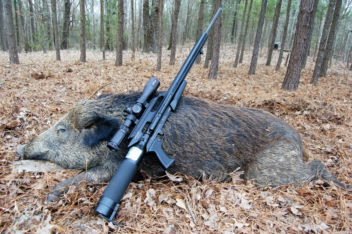 Hog Hunting tips