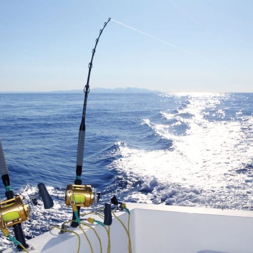 Fishing in the Ocean: Tips for a Successful Trip