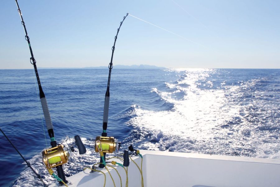 Fishing in the Ocean: Tips for a Successful Trip